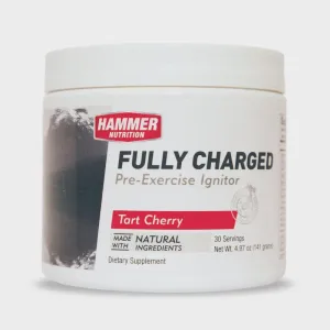 Fully Charged Powder (30 serving)