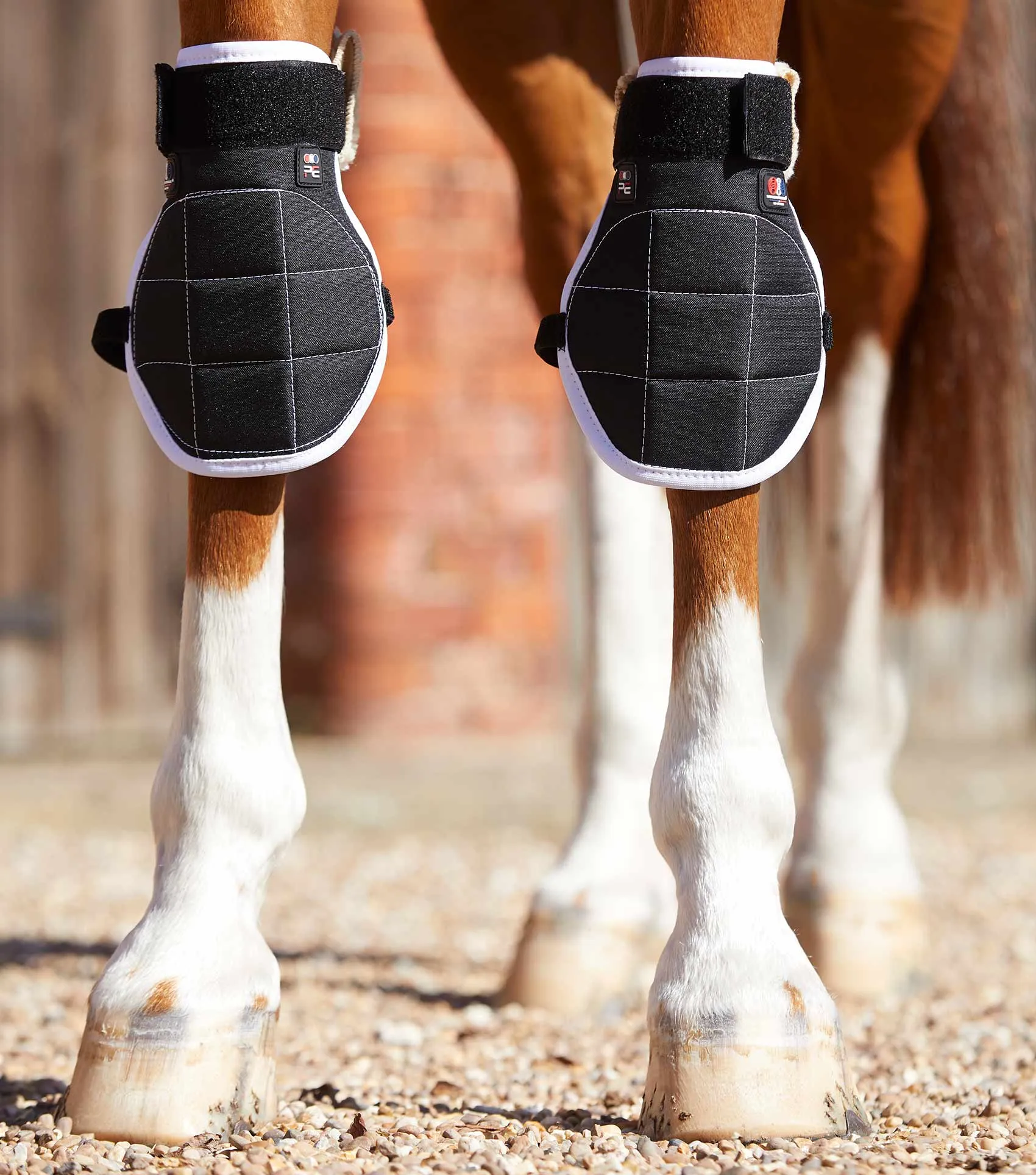 Magni-Teque Magnetic Horse Knee Boots