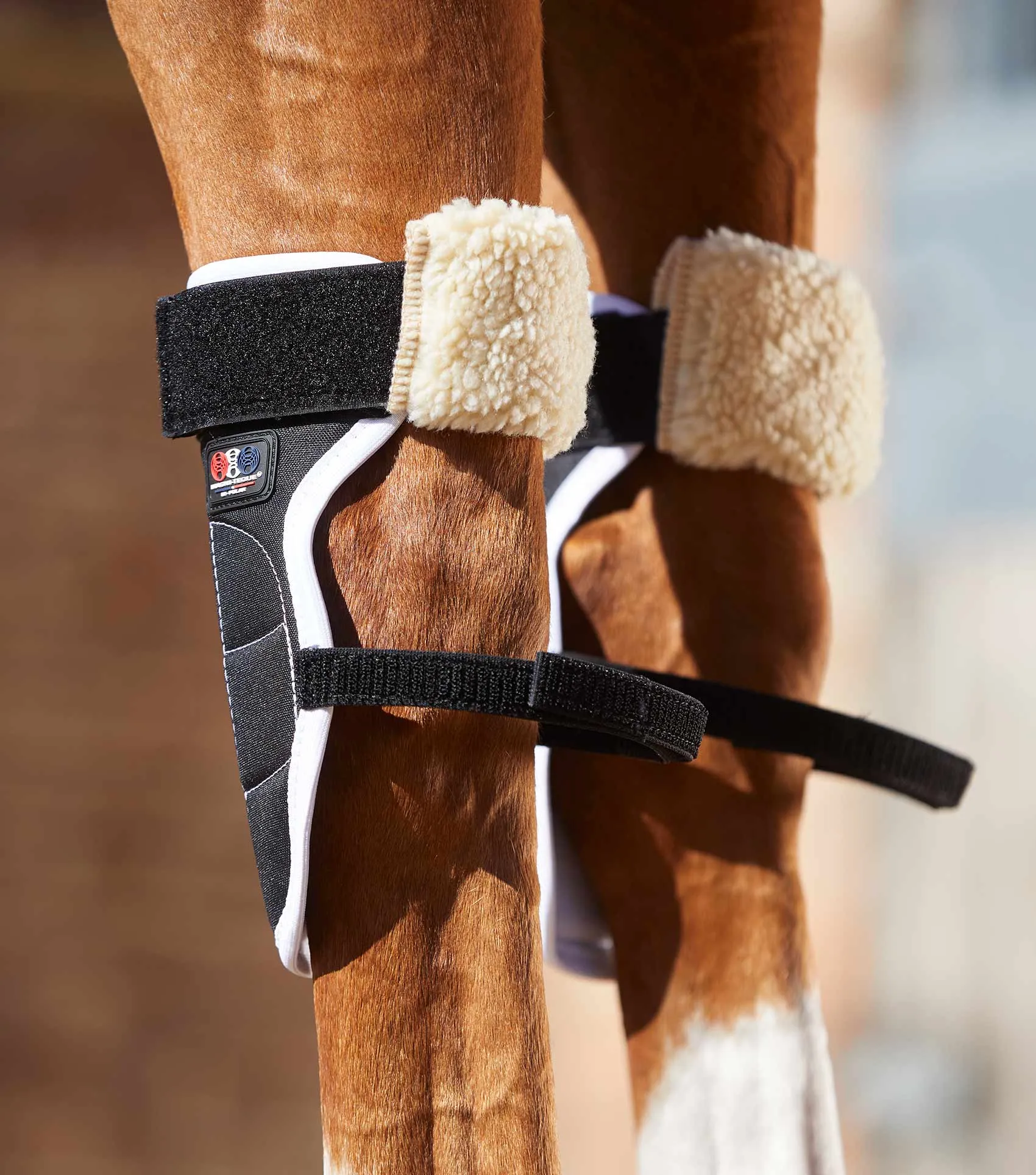 Magni-Teque Magnetic Horse Knee Boots